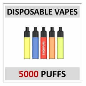 Vapes 5000 Puffs